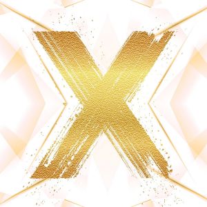 Logo Duplex Rooftop