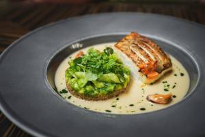 Coda Restaurant