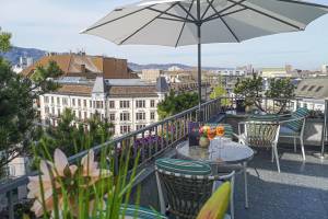 Roof Garden