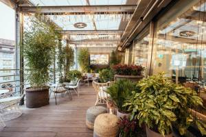 Hiltl Dachterrasse
