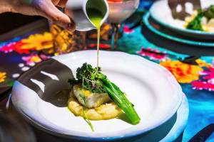 Vivo - The Nile Ritz-Carlton