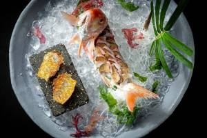 Kensei | Sushi & Japanese Cuisine